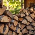 Bois de chauffage : cet endroit où vous rangez vos bûches met en danger votre santé et votre porte-monnaie
