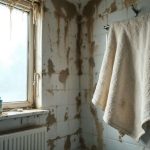 C&rsquo;est l&rsquo;objet qui favorise le plus l&rsquo;humidité et les moisissures chez vous cet hiver 