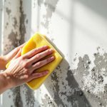 Nettoyer un mur moisi sans abîmer la peinture : la règle indispensable des 15 minutes que tout le monde devrait connaître