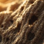 « Ces mini-bouffeurs de laine » : comment les mites transforment vos pulls en gruyère (et comment les stopper)